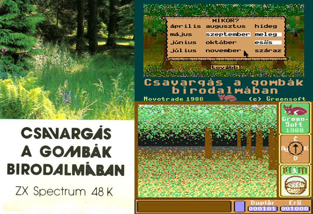 Csavargás a gombák birodalmában - Magyar Fejlesztésű Játékok