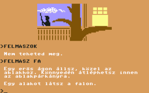 A bosszú - Magyar Fejlesztésű Játékok